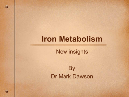 Iron Significance - Australian Centre for Blood Diseases