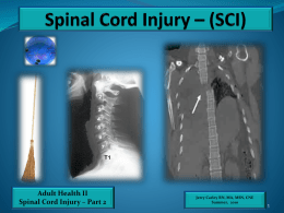 Spinal Cord Injury – (SCI)