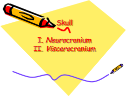 Skull I. Neurocranium II. Viscerocranium