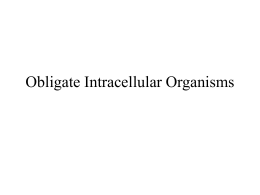 Obligate Intracellular Organisms