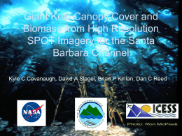 Giant Kelp Canopy Cover and Biomass from High Resolution