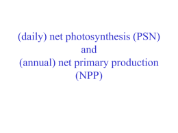 (daily) net photosynthesis (PSN) and (annual) net primary