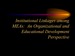 Institutional Linkages among MEAs: An Organizational and