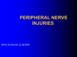 PERIPHERAL NERVE INJURYIES MHD BASHAR ALBOSHI