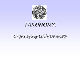 Organizing the Diversity