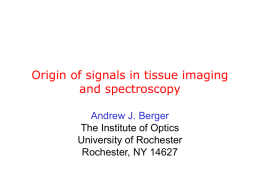 Origin of signals in tissue imaging and spectroscopy