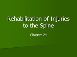 Rehabilitation of Injuries to the Spine
