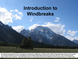 Introduction to Wind Breaks