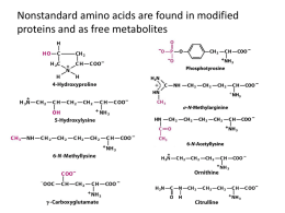 Amino acids have many roles in living organisms