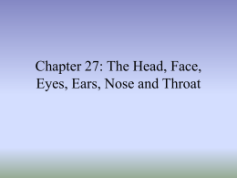 Chapter 27: The Head, Face, Eyes, Ears, Nose and Throat