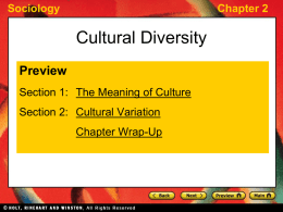 CHAPTER 2 Cultural Diversity