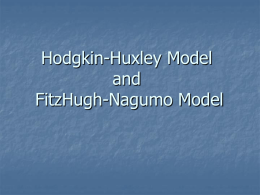 Hodgkin-Huxley Model - PHASER Scientific Software
