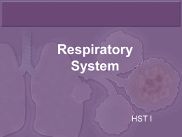 Respiratory System - The Learning Resource Center
