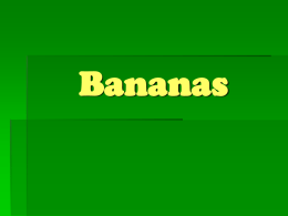 Bananas - GeoInteractive