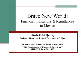 Brave New World: Financial Institutions & Remittances to