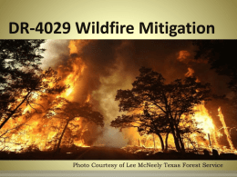 DR-1999 Wildfire Mitigation