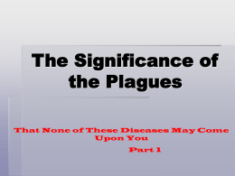 The Significance of the Plagues - theCommune-ity