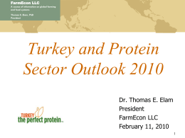 Supply, Demand and How to Make Money in the Turkey Business