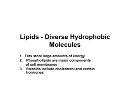 Lipids - Diverse Hydrophobic Molecules