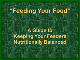 Feeding Your Food: A guide to keeping your feeders