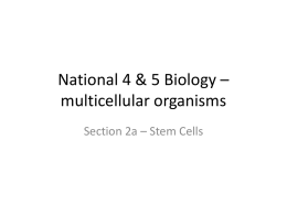 National 4 & 5 BIOlogy – multicellular organisms