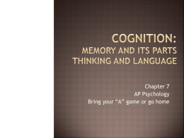 Cognition: Memory and its Parts