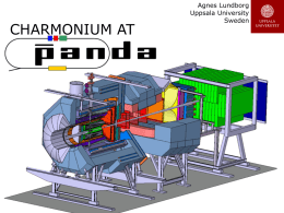 Charmonium at PANDA - Istituto Nazionale di Fisica Nucleare