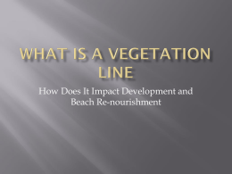 What is a Vegetation Line - Holden Beach Property Owners