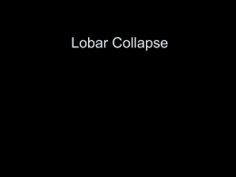 Lobar Collapse - Queen Margaret University