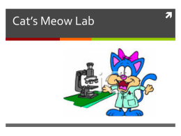 Cat’s Meow Lab