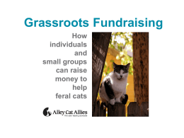 Grassroots Fundraising