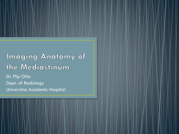 Imaging Anatomy of the Mediastinum - Learning