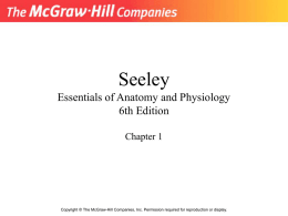 Seeley Essentials of Anatomy and Physiology 6th Edition
