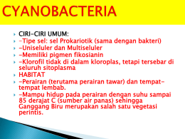 cyanobacteria - Sumber Belajar