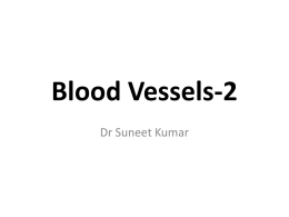 Blood Vessels-2