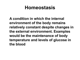 Homeostasis - Faculty Home