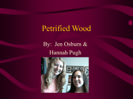 Petrified Wood - Oregon State University