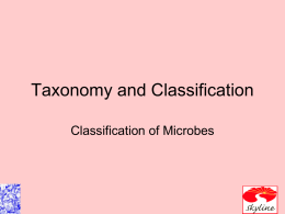 Ch 10 Taxonomy and Classification