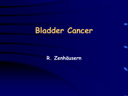 Bladder Cancer - Biotech Due Diligence