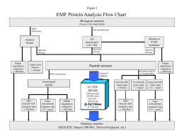 MCF Protein Identification Flow Chart