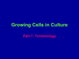 Growing Cells in Culture - Bergen County Technical Schools