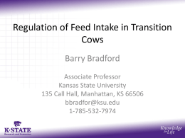 Current Concepts and Recent Advances in Transition Cow