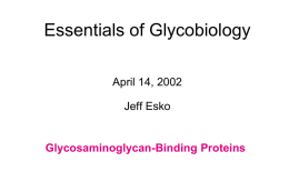 GAG binding proteins - Glycobiology Research and Training
