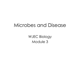 Microbes and Disease - Miss Hanson's Biology Resources