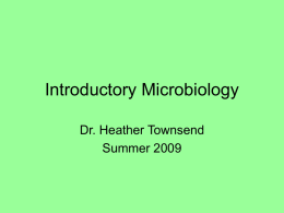 Introductory Microbiology - Biologi 2010 Universitas Airlangga