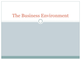 The Business Environment - Yola