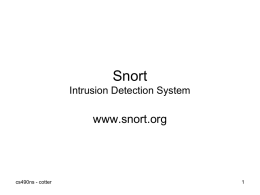 Snort Intrusion Detection System