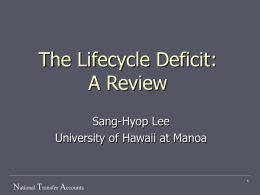 The Lifecycle Deficit: A Review