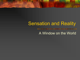 Sensation and Reality - Mr. McMillen's Home Page