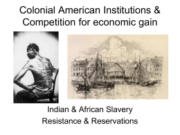 Colonial American Institutions & Competition for economic gain